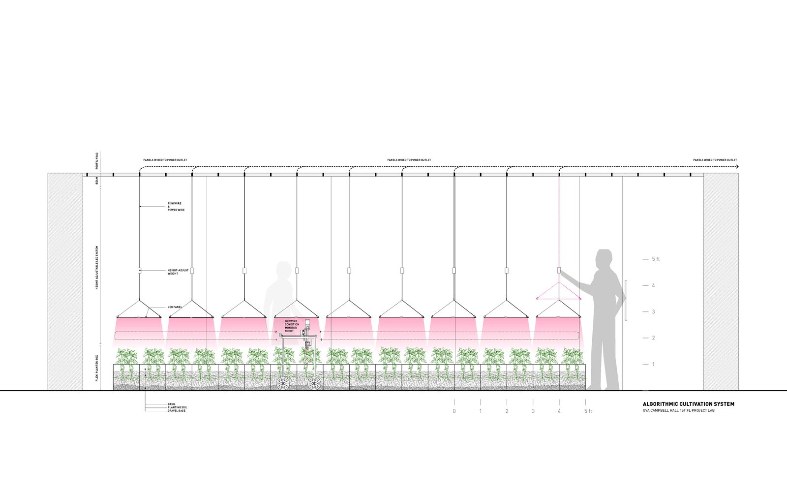 Algorithmic Cultivation section layout