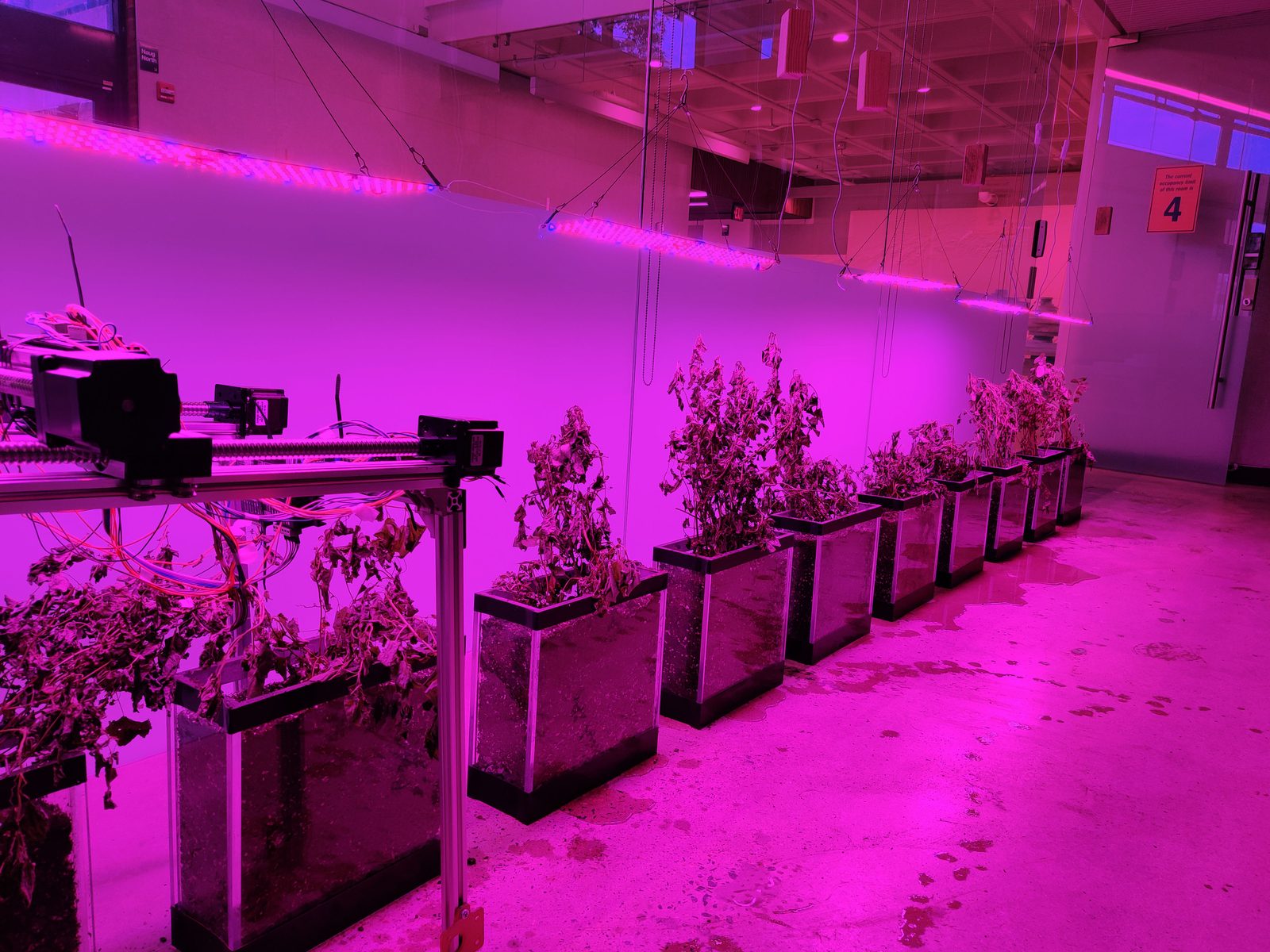 Algorithmic Cultivation installation detail